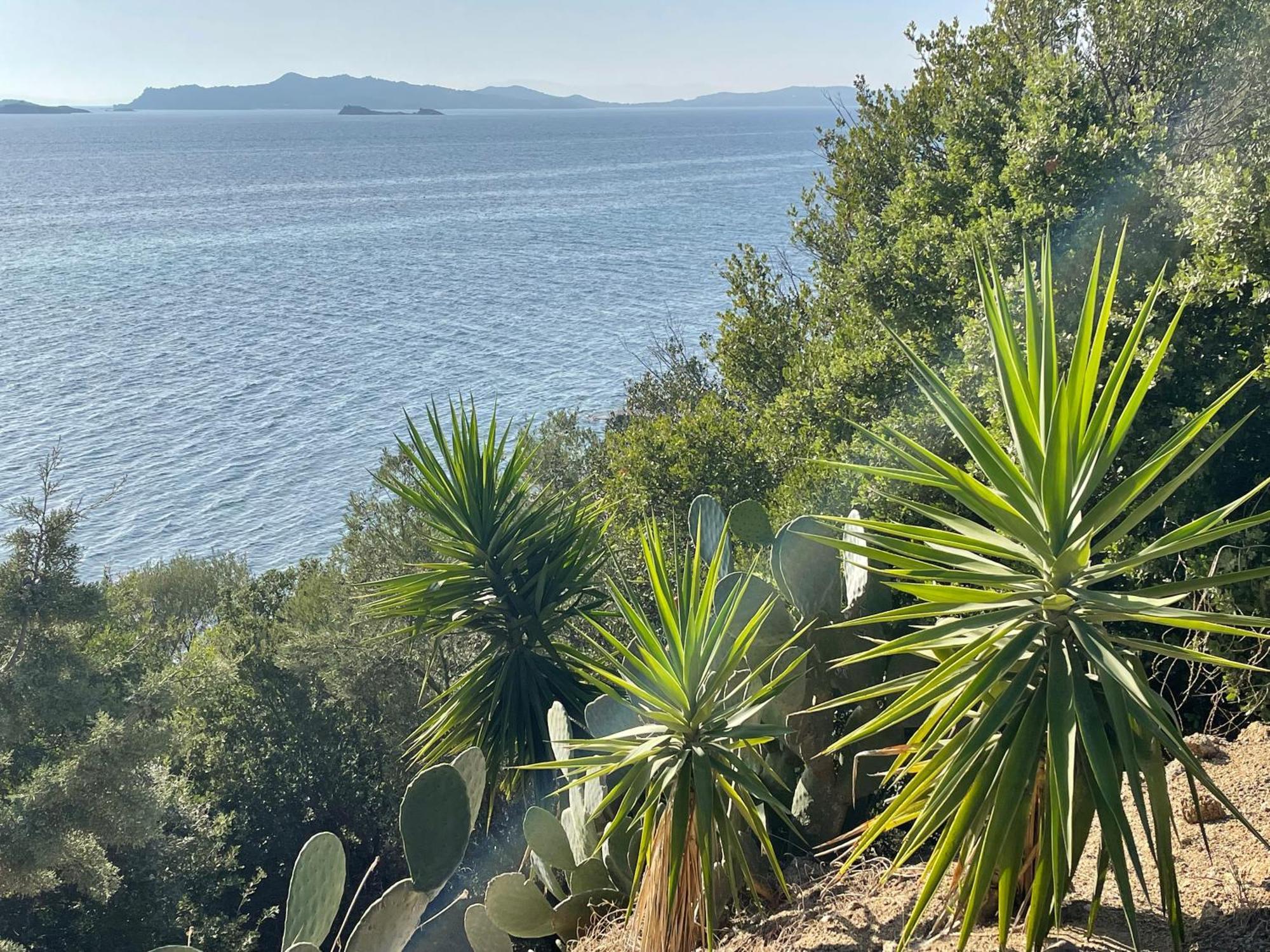 Sound Of Athos Ouranoupoli